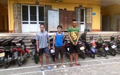 Mới ra tù, 3 đối tượng nghiện ma túy đánh cắp 20 chiếc xe máy