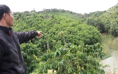 Đắk Nông: 3 năm chi sai cả tỷ đồng đền bù vẫn "bình yên vô sự"