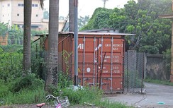 Hà Nội: Ế hai phiên đấu giá, gỗ sưa trăm tỷ sẽ hạ giá?