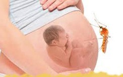 Thai phụ mắc sốt xuất huyết có nguy hiểm không?