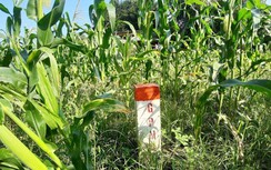 Thúc tiến độ GPMB cao tốc Cam Lâm - Vĩnh Hảo qua Ninh Thuận