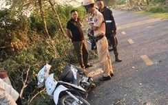 Cưa cây đổ ra đường, nữ sinh Hải Dương tử vong thương tâm