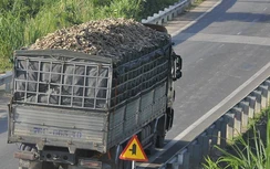 Xe tải, xe ben đua nhau vi phạm trên QL24