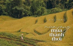 Nhiếp ảnh gia trẻ Sài thành mê đắm mùa vàng Hà Giang