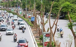Hà Nội: Những tuyến đường nào sắp được chỉnh trang, tạo không gian xanh?
