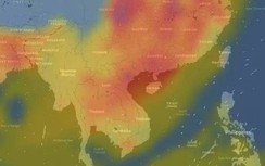 Thày giáo Vũ Khắc Ngọc gửi lời xin lỗi tới đội ngũ phát triển AirVisual