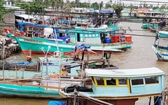 Quản chặt lắp thiết bị giám sát hành trình ngăn ngừa mất liên lạc tàu cá