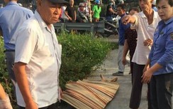 Băng qua đường sắt, người đàn ông bị tàu đâm tử vong