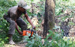 Đồng Nai chốt thời gian giao mặt bằng dự án CHK quốc tế Long Thành