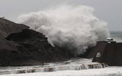 Kyodo News: Có 2 người Việt Nam trên tàu Panama chìm do bão Hagibis