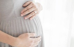 Vụ chồng lừa vợ lấy phôi cho "bồ" mang thai: Luật sư nói gì?