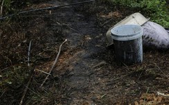 Dầu thải lênh láng, cá phơi trắng bụng suối đầu nguồn nhà máy nước Sông Đà