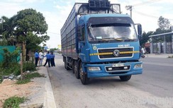 Xử phạt loạt phương tiện vi phạm kích thước thành thùng tại Quảng Ngãi