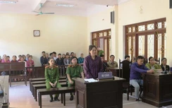 Nghịch tử dùng xăng đốt mẹ tử vong nhận mức án nào?