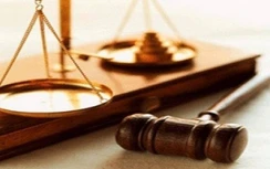 “Nữ quái” lừa mua đất, “chạy” việc, chiếm đoạt hàng trăm triệu đồng lãnh án