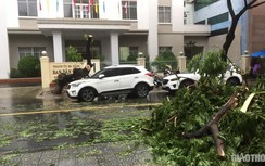 Cận cảnh cây xanh đổ gãy, đất đá sạt lở, trắng đêm hợp sức thông đường