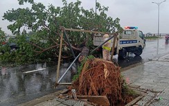 CSGT Đà Nẵng đội mưa dọn cây xanh, thông đường sau bão