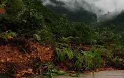 Bão số 5: Nhiều tuyến đường ở Quảng Nam sạt lở, cây xanh đổ chắn đường