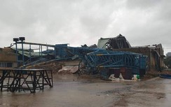 Sập gãy băng tải dăm gỗ 400 tấn/giờ vì... phòng chống bão số 5?