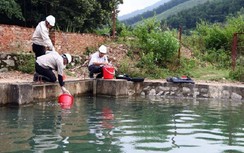 Công ty Sông Đà vô tư xả “trộm” nước nhiễm dầu ra môi trường