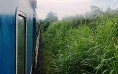 Chạy băng qua đường sắt, người phụ nữ bị tàu tông chết