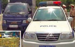 Bất an “ngáo đá” và tội phạm bộc phát