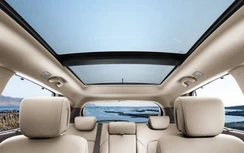 Để trẻ nhỏ thò cổ lên cửa sổ trời ô tô: Hiểm nguy khó lường