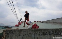 Bình Định, Quảng Ngãi cho học sinh nghỉ học ngày 11/11 để tránh bão