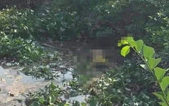 Tìm thấy thi thể người mẹ nhẩy cầu tự tử ở Hải Phòng