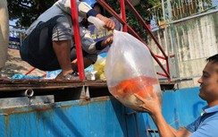 Chính thức tháo dỡ khu thí điểm làm sạch trên sông Tô Lịch