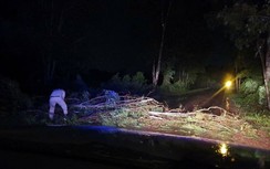 Không để phương tiện xe khách lưu thông trên QL1 qua Bình Định trong bão