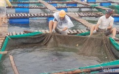 Chưa thể điều tàu SAR nhưng 2 người mắc kẹt trên biển đã được cứu