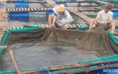 Khánh Hòa xin ứng cứu khẩn cấp 2 người mắc kẹt trên lồng bè giữa biển