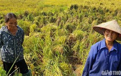 Nhân chứng vụ uẩn khúc TNGT ở Tuyên Quang bị hành hung trong đêm