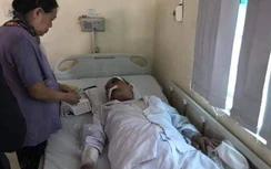 Tin tức 24h nóng nhất, mới nhất ngày hôm nay 13/11/2019