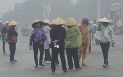 Giá vé chợ đen trận Việt Nam - UAE bất ngờ giảm sâu