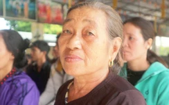 Những giọt nước mắt ở lễ cầu siêu