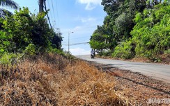 Dân hãi cảnh dọn dẹp đường bằng... thuốc diệt cỏ, trách nhiệm thuộc về ai?