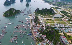 Thí điểm thành lập Ban Quản lý Khu kinh tế Vân Đồn (Quảng Ninh)