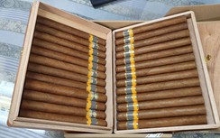 Hải quan sân bay Tân Sơn Nhất tạm giữ lô hàng 2.487 điếu xì gà