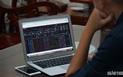 Chứng khoán ngày 21/11: Rơi thẳng đứng, VN-Index mất hơn 12 điểm