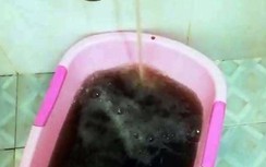 Nha Trang: Hàng trăm hộ dân hoảng hốt khi nước sinh hoạt đen như nước cống