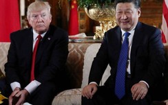 Donald Trump: Ông Tập Cận Bình có 1 triệu quân đang ở ngoài Hồng Kông