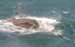 Chủ tàu cá đi tìm người thân của ngư phủ mất tích ở Cà Mau