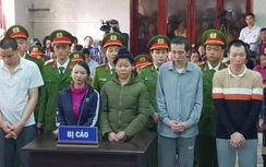 Mẹ nữ sinh giao gà ở Điện Biên lĩnh 20 năm tù
