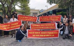 Cocobay thừa nhận chưa có giấy phép xây dựng chung cư