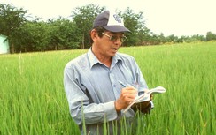 Hành trình 25 năm tạo ra hạt gạo ngon nhất thế giới