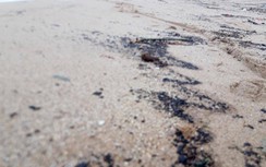 Xác định nguồn gốc vệt đen kéo dài 3km ở vùng biển Hà Tĩnh