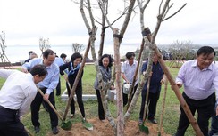 Vinamilk trồng 110.000 cây xanh góp phần phủ xanh Bình Định