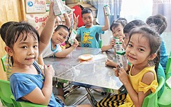 Bộ Y tế quy định hàm lượng vi chất trong sữa học đường ra sao?